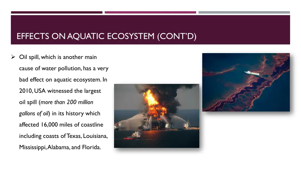 effects on aquatic ecosystem cont d