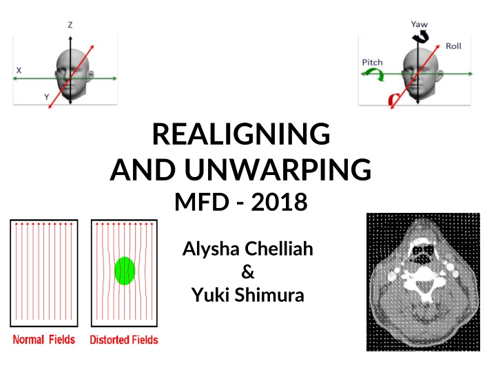 realigning and unwarping mfd 2018