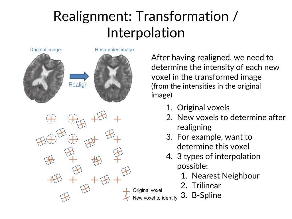 realignment transformation interpolation