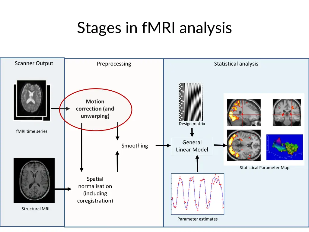 stages in fmri analysis
