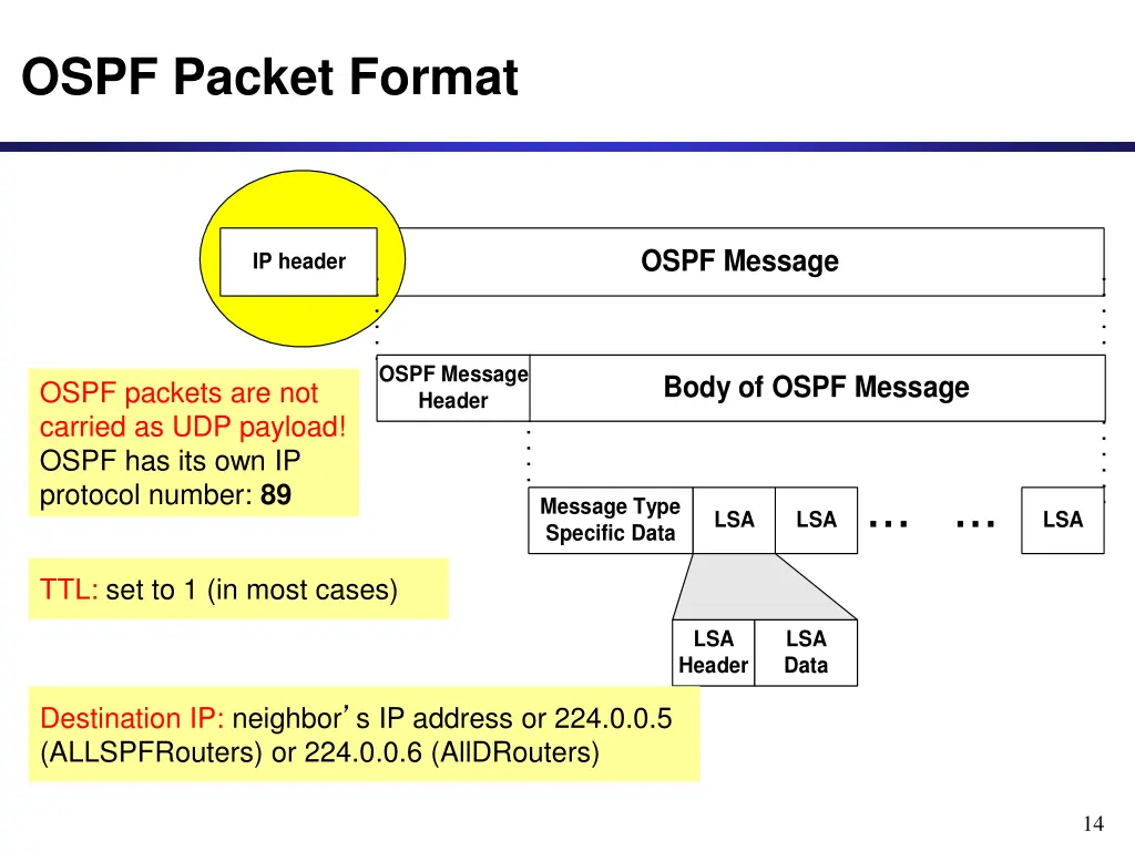 ospf packet format