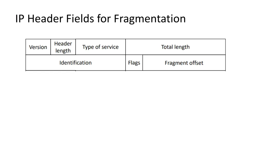 ip header fields for fragmentation