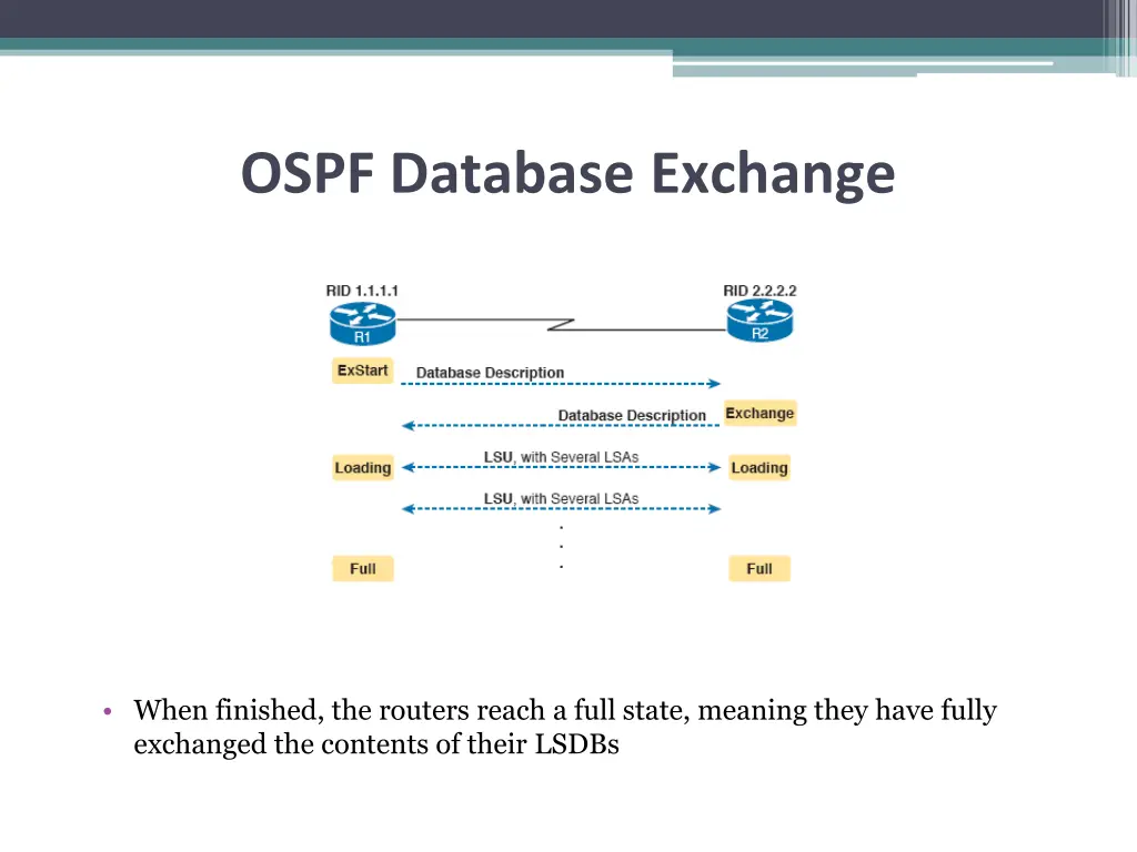 ospf database exchange