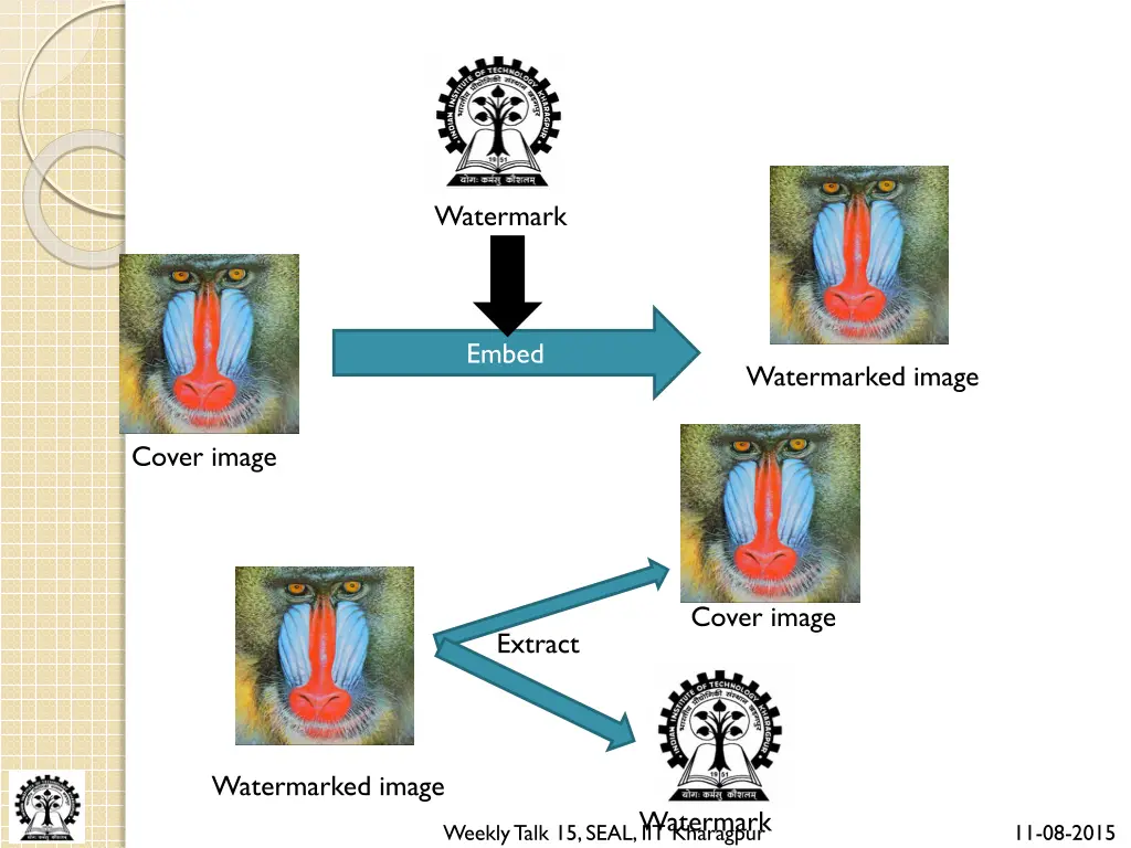 watermark