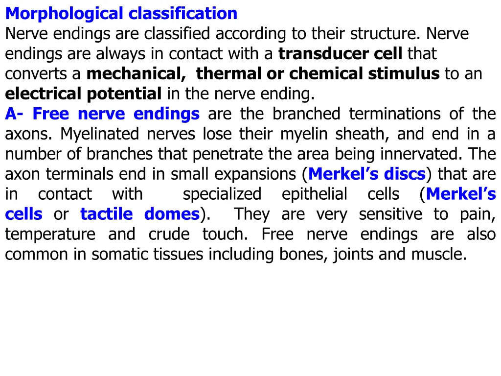 morphological classification nerve endings