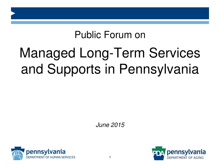 public forum on