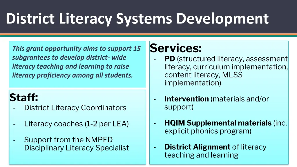district literacy systems development