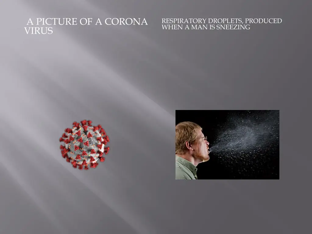 a picture of a corona virus