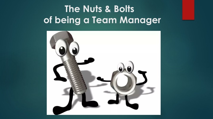 the nuts bolts of being a team manager