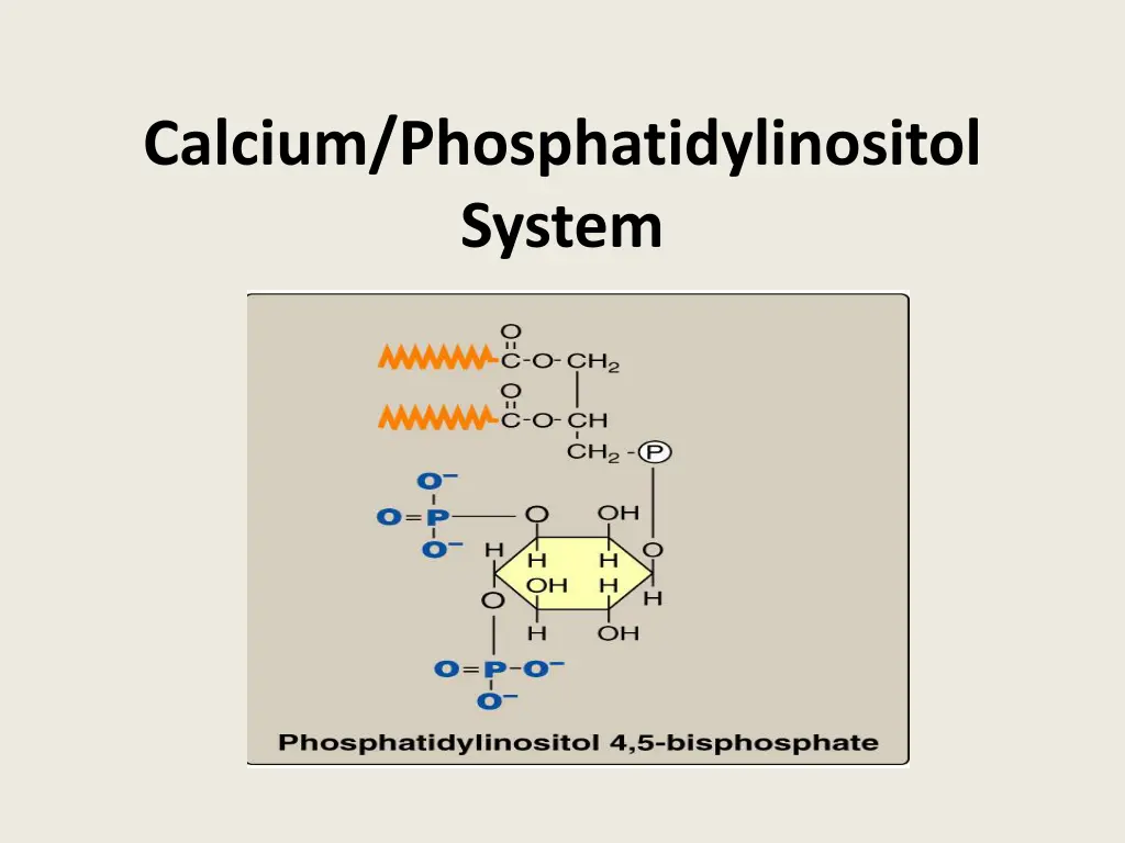 calcium phosphatidylinositol system