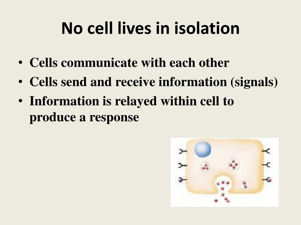 no cell lives in isolation