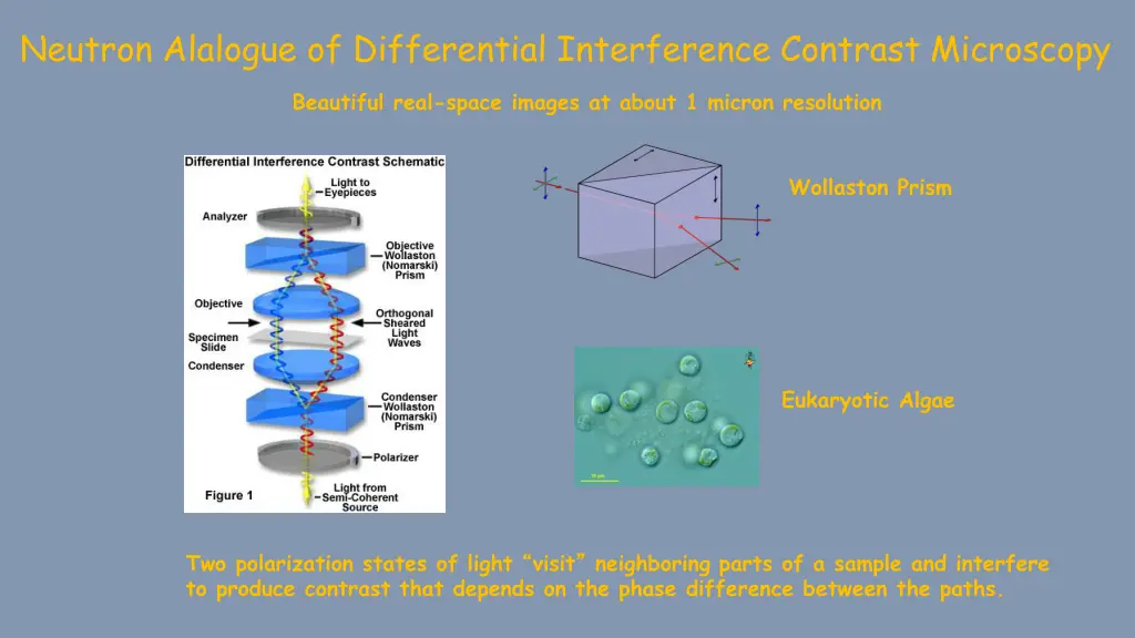neutron alalogue of differential interference