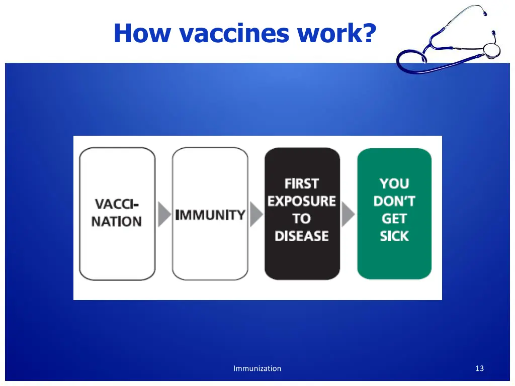 how vaccines work