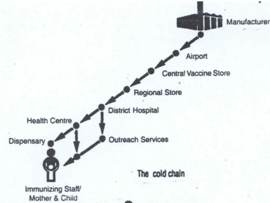 immunization 2