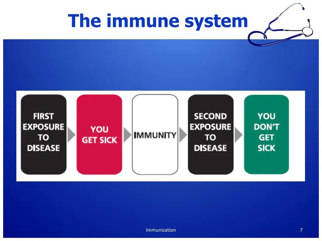 the immune system