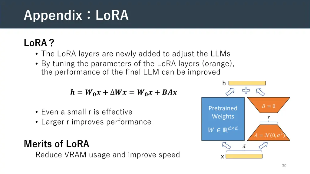 appendix lora