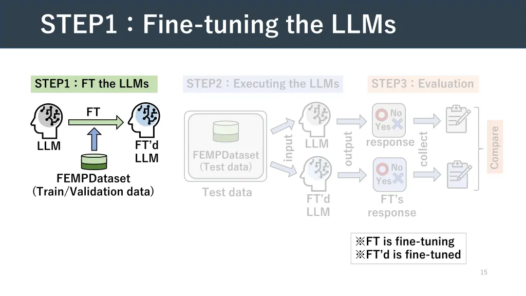 step1 fine tuning the llms