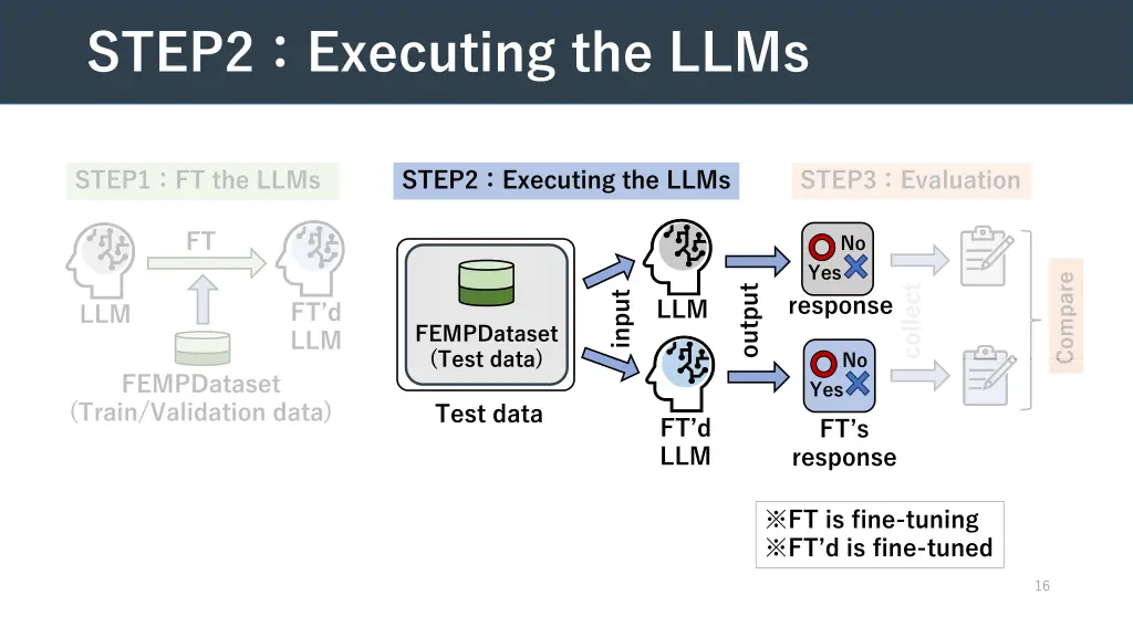 step2 executing the llms