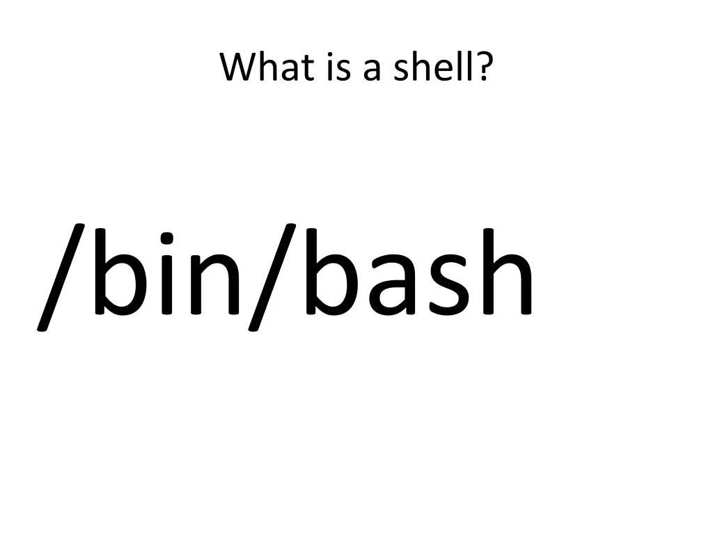 what is a shell 1