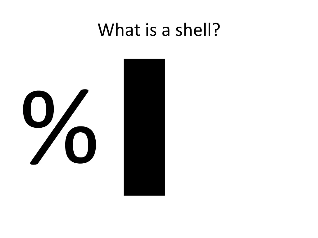 what is a shell