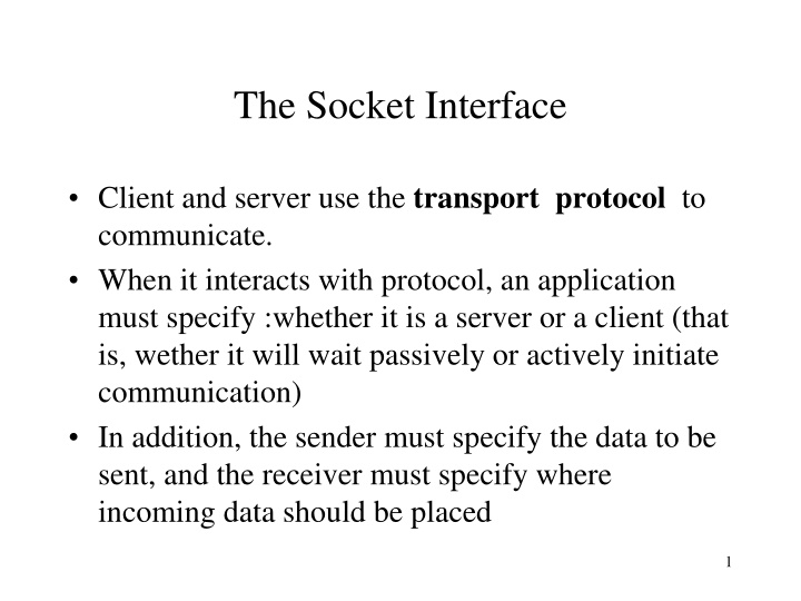 the socket interface