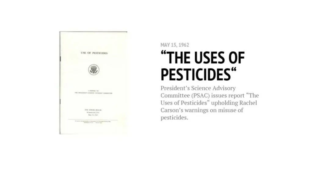 slide7