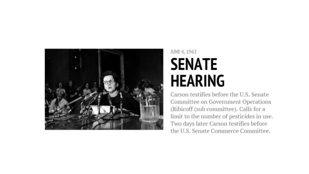 slide9