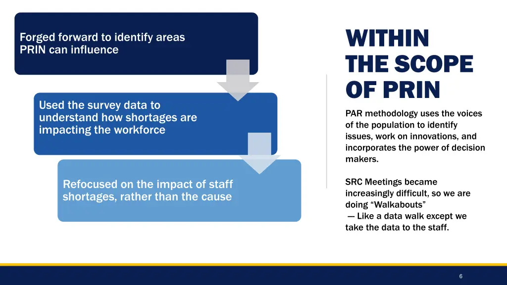 within the scope of prin par methodology uses