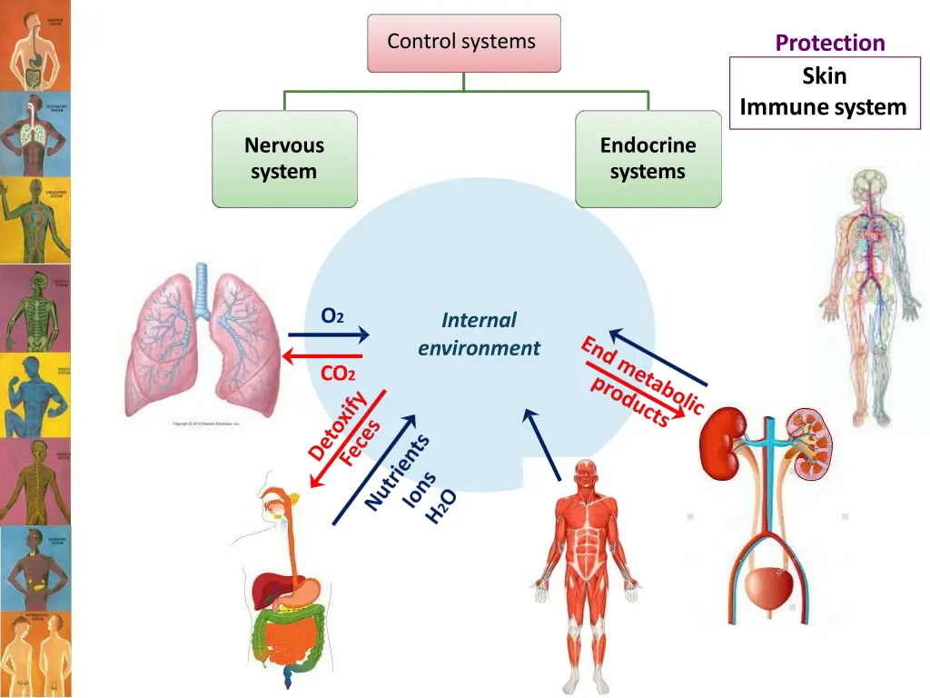 controlsystems