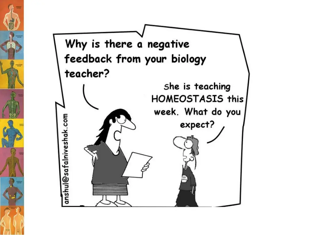 slide22