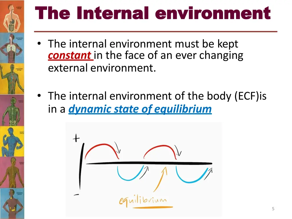 the the internal internal environment 1