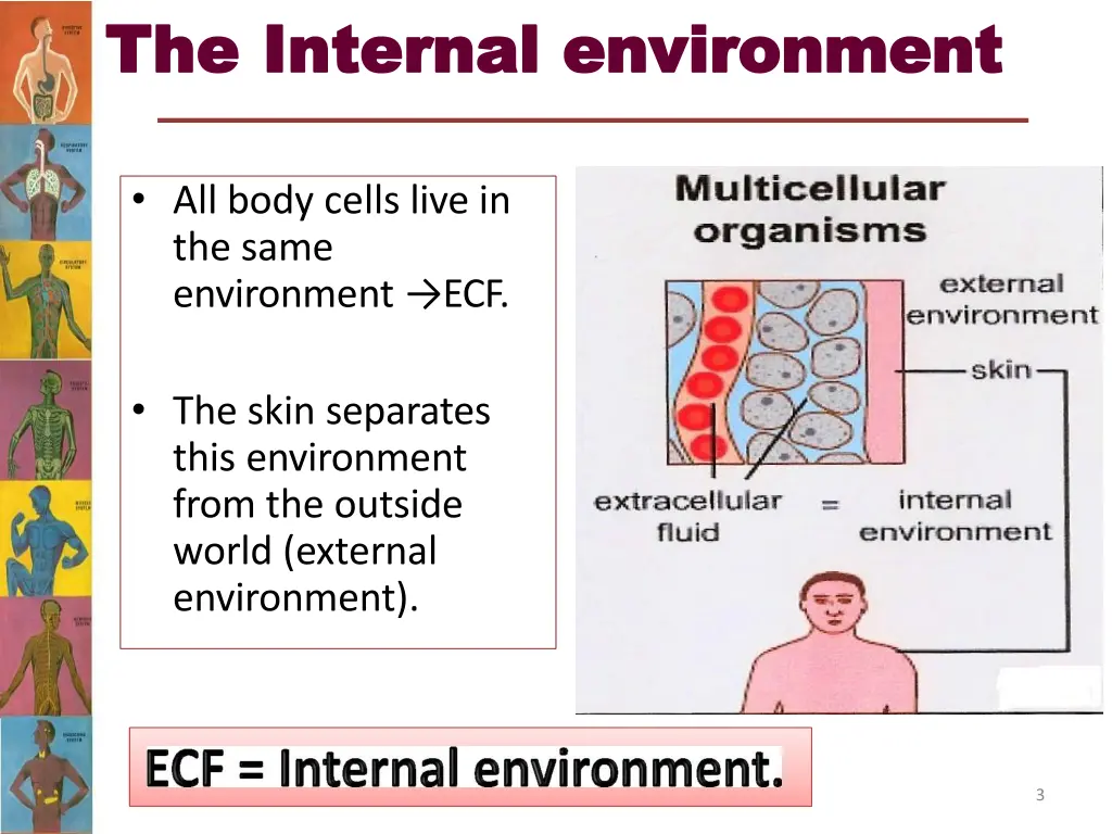 the the internal internal environment