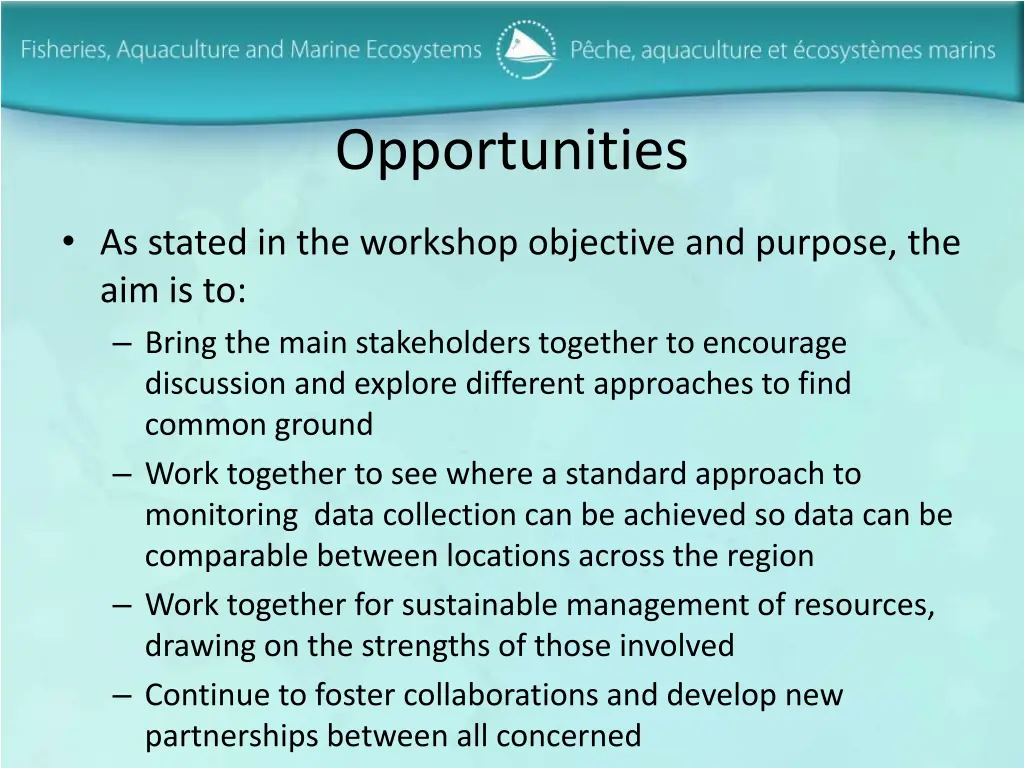 opportunities