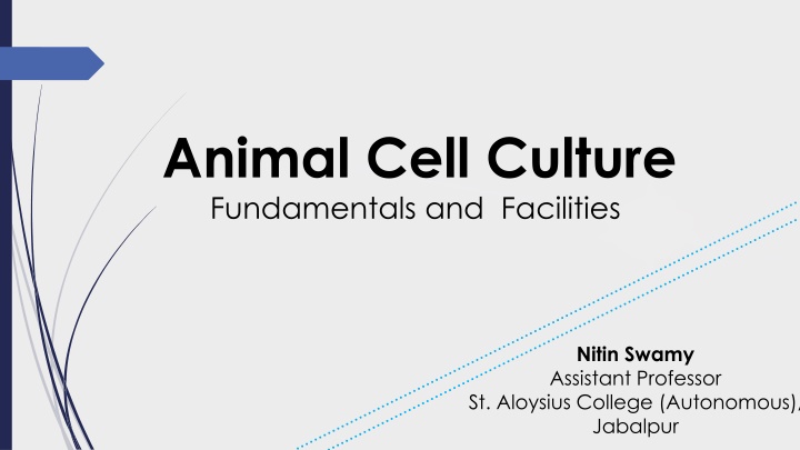 animal cell culture fundamentals and facilities
