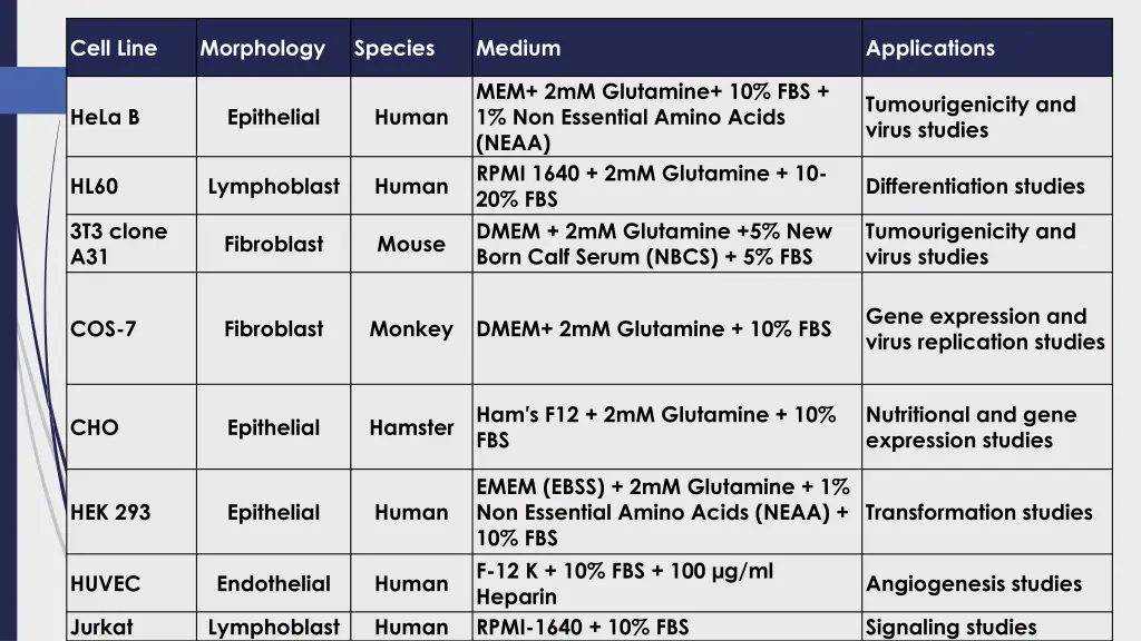 cell line