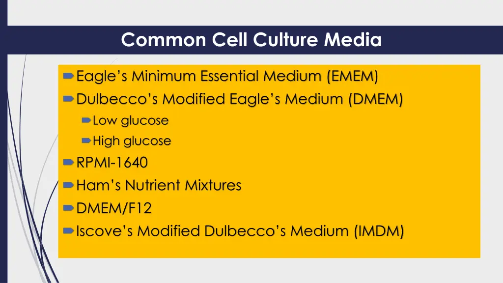 common cell culture media