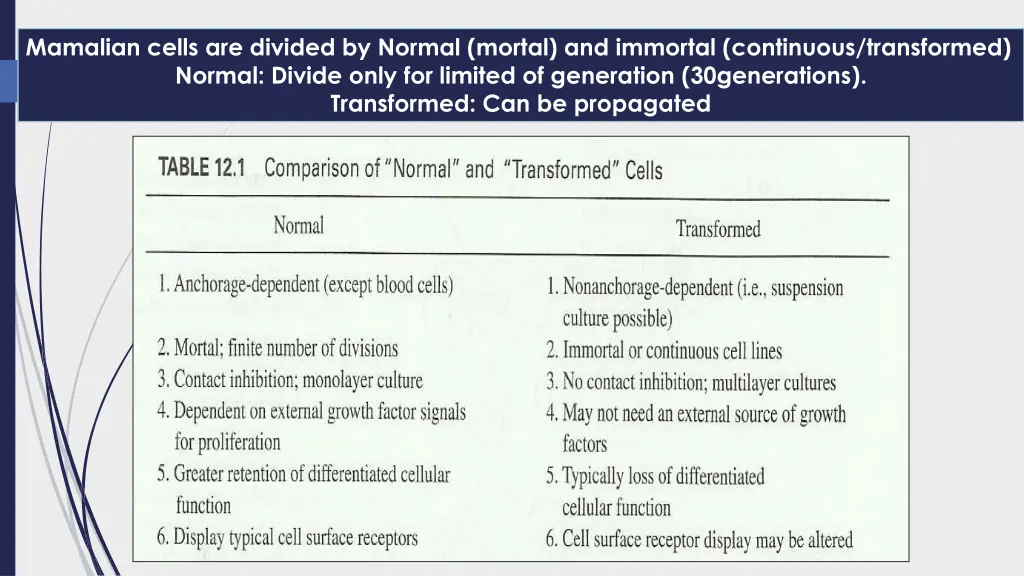 mamalian cells are divided by normal mortal