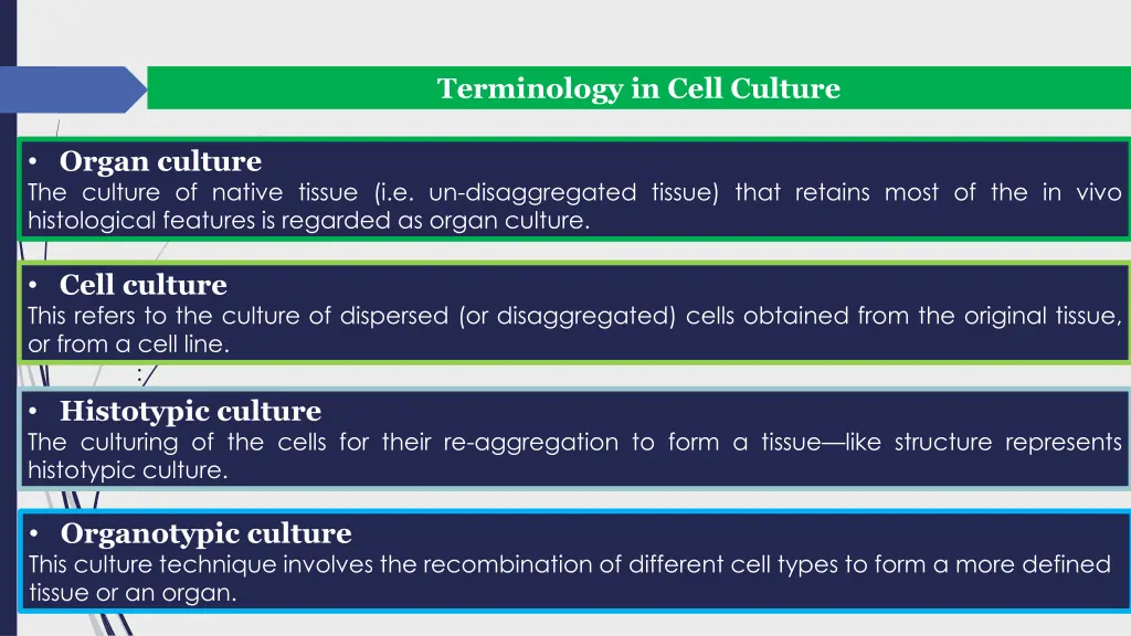 terminology in cell culture