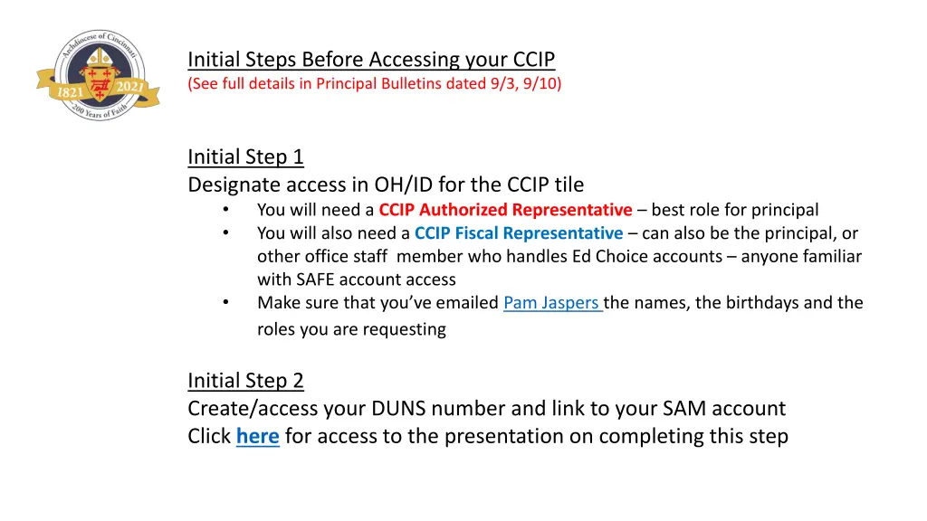 initial steps before accessing your ccip see full