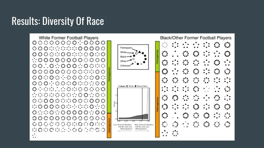 results diversity of race