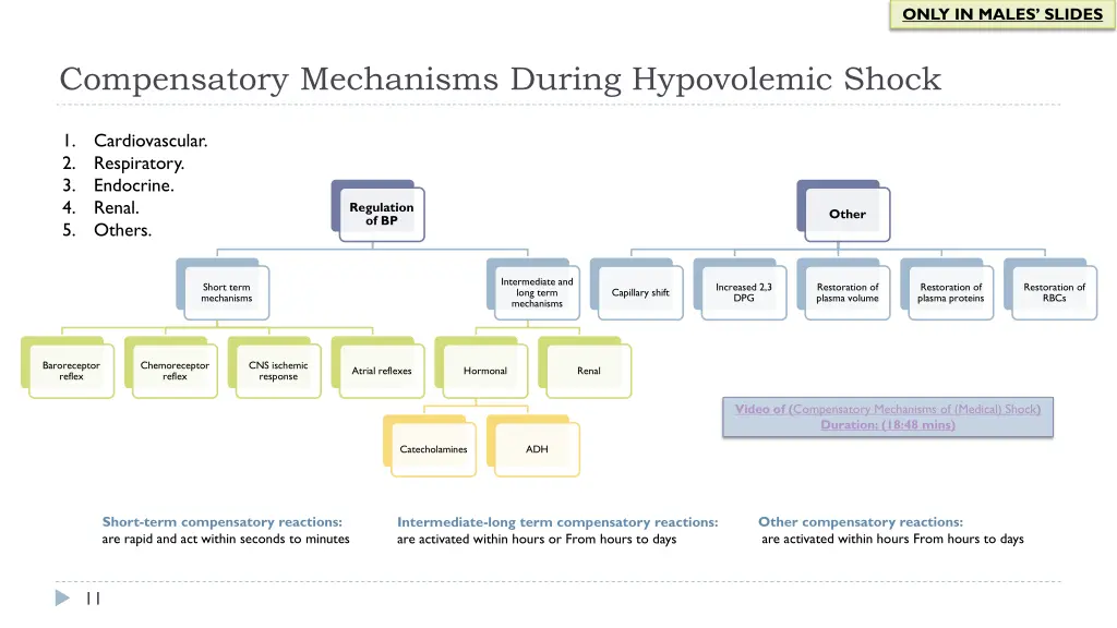 only in males slides 1