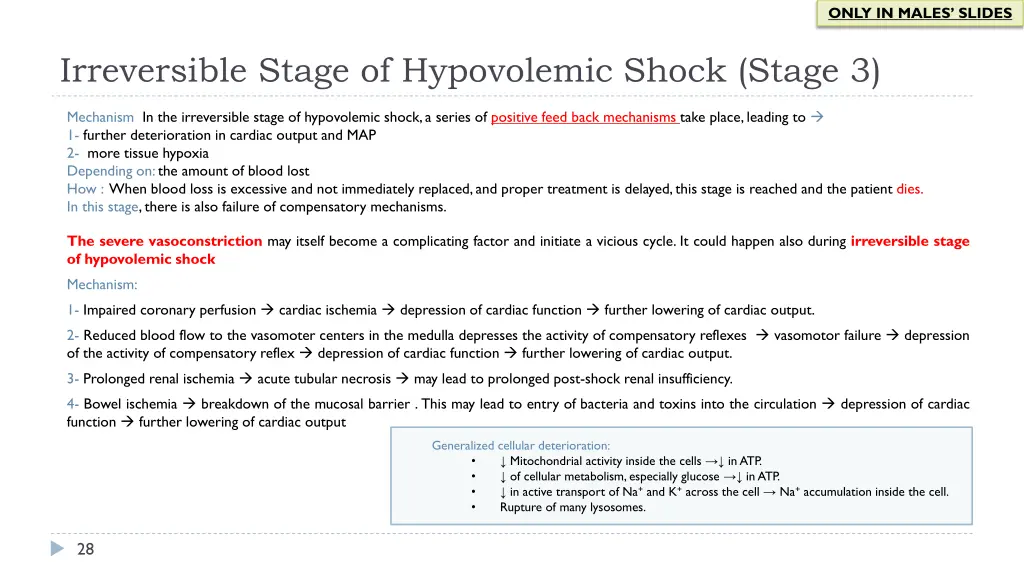 only in males slides 12