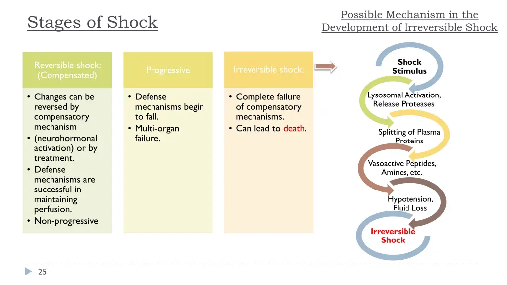 possible mechanism in the development