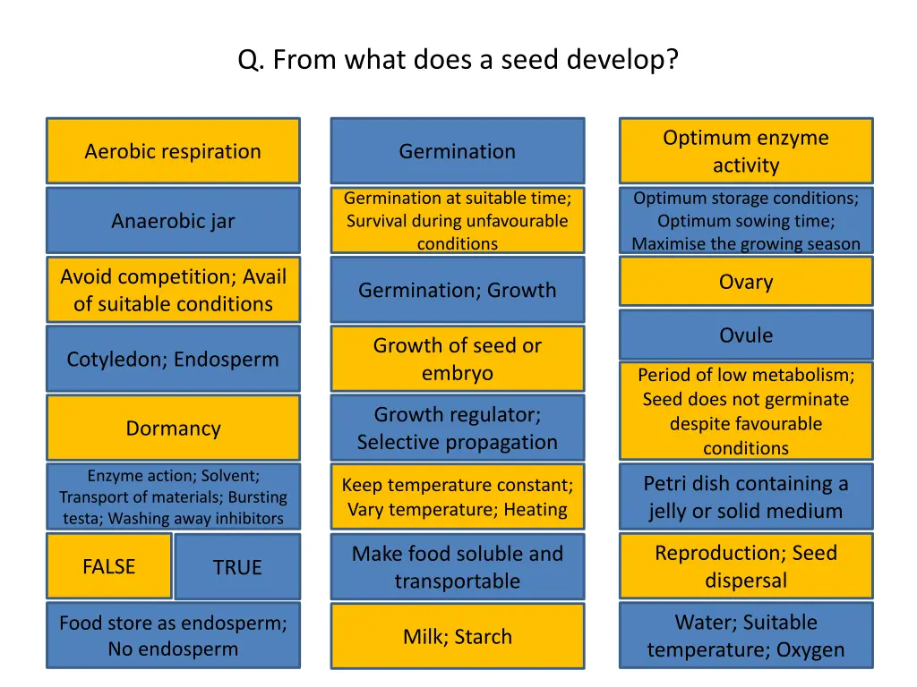 q from what does a seed develop