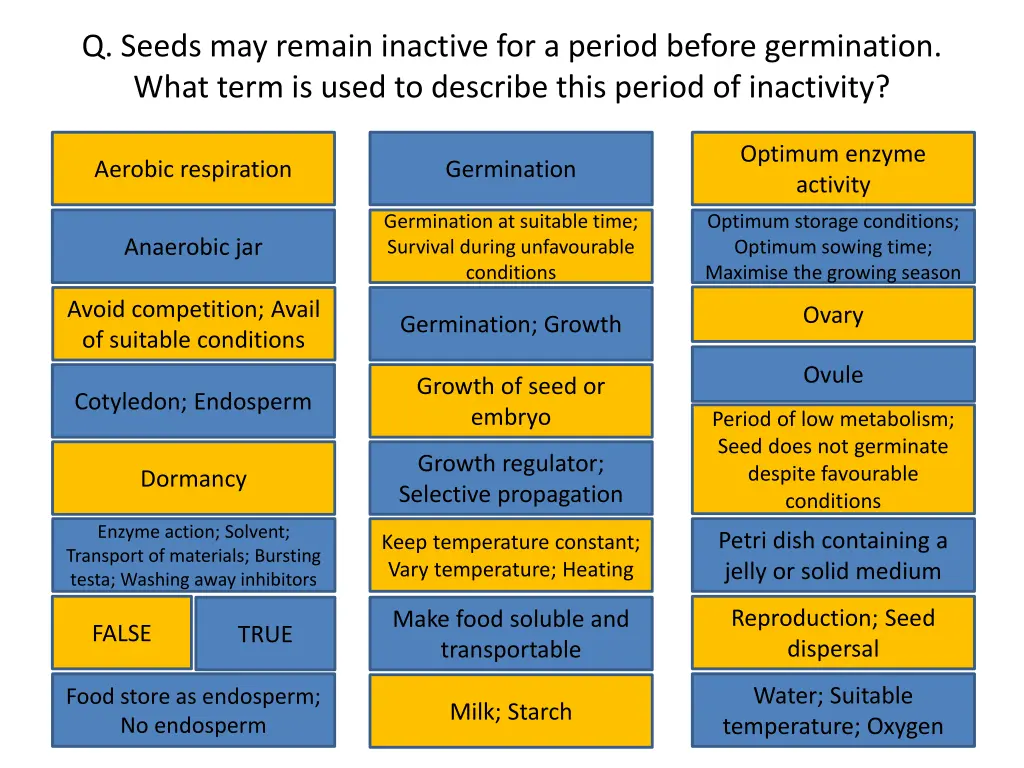 q seeds may remain inactive for a period before