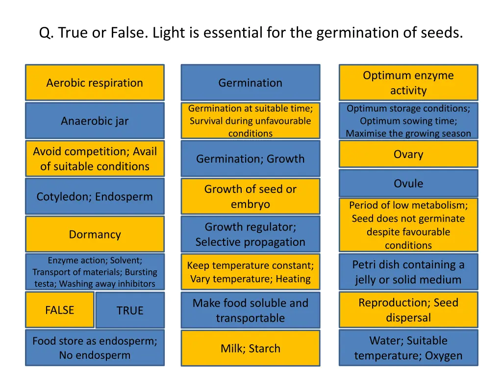 q true or false light is essential