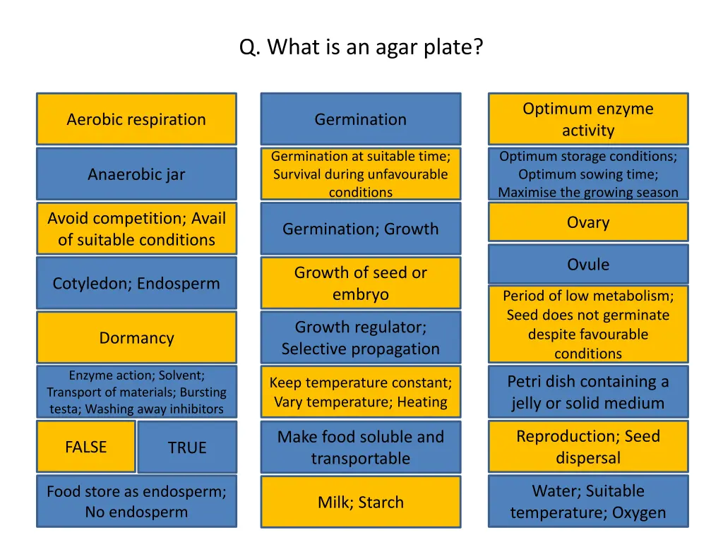 q what is an agar plate