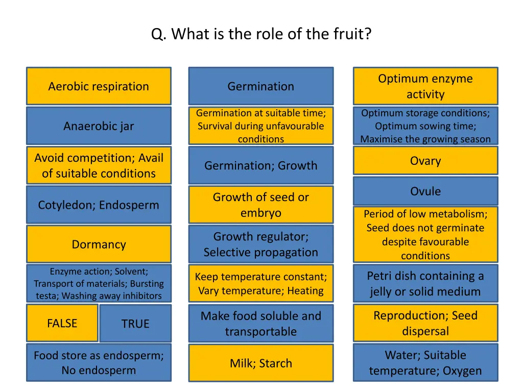 q what is the role of the fruit