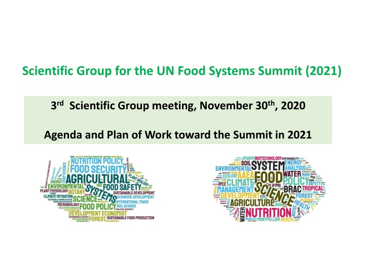 scientific group for the un food systems summit