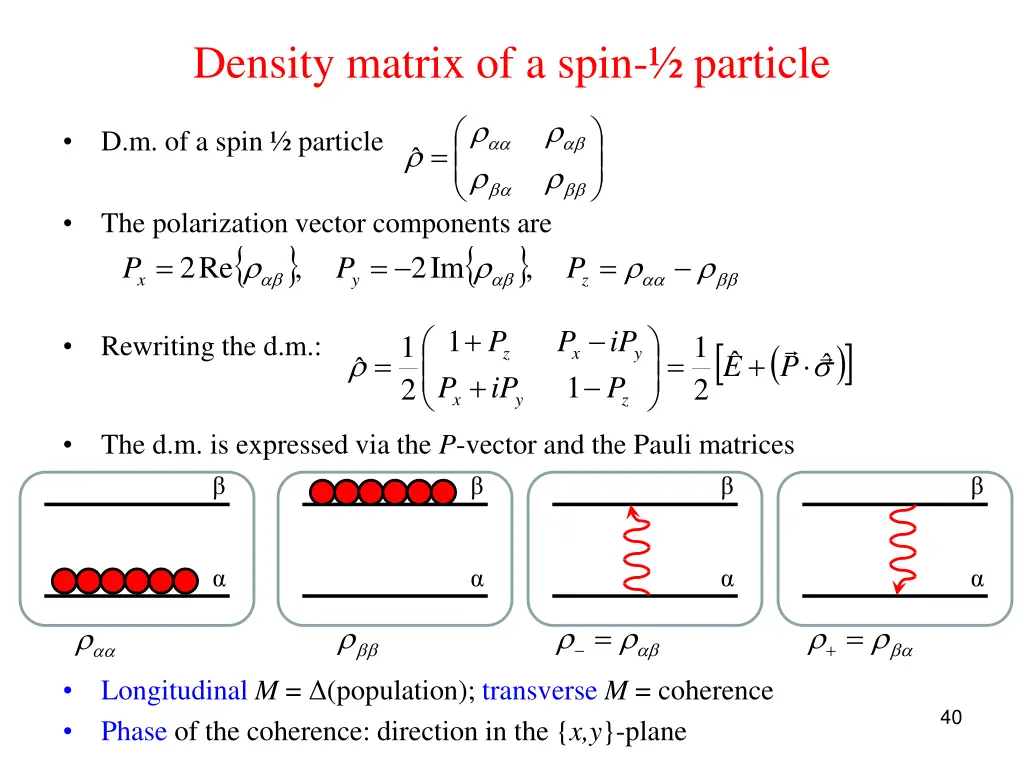 density matrix of a spin particle
